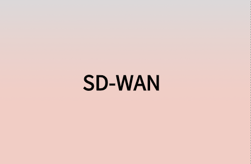 對(duì)企業(yè)而言，SD-WAN意味著什么?