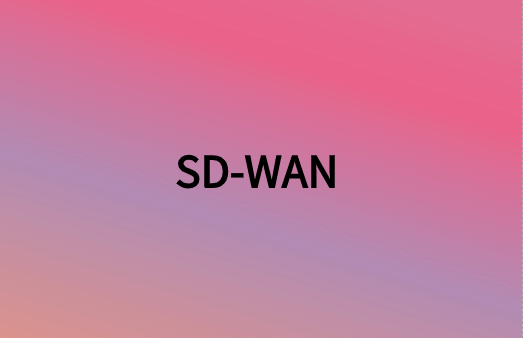 除連接性外，SD-WAN還提供很多網(wǎng)絡(luò)優(yōu)勢
